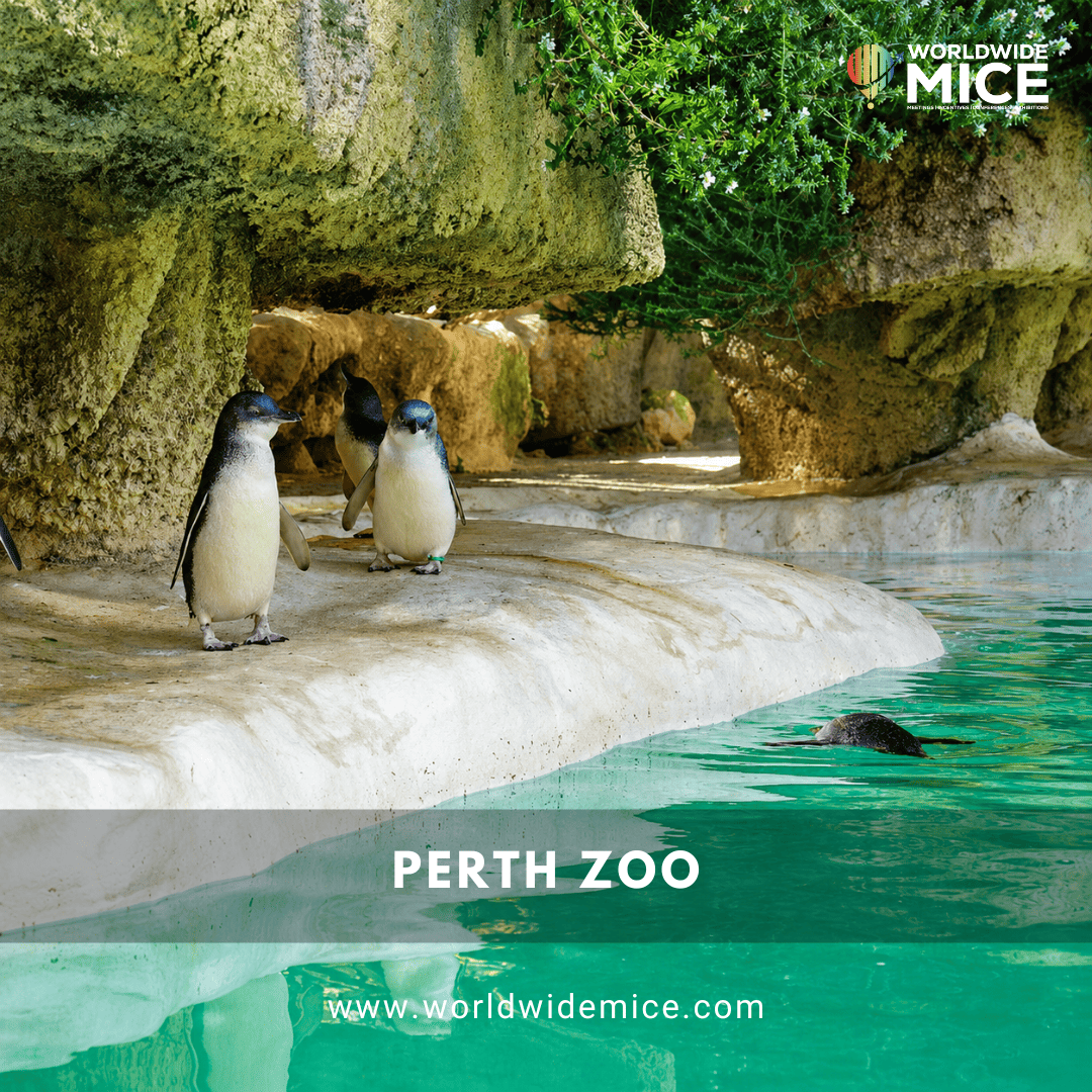 Perth Zoo
